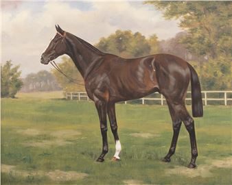 Roseworthy - Clarence Hailey