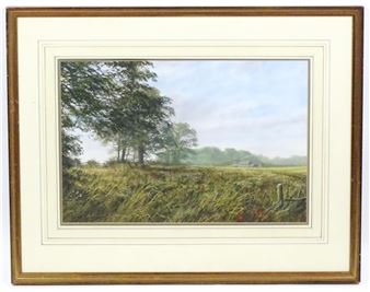 A Lincolnshire landscape - Peter Robinson