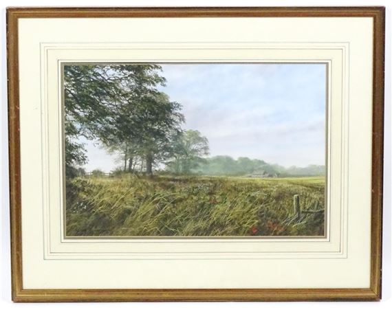 A Lincolnshire landscape - Peter Robinson