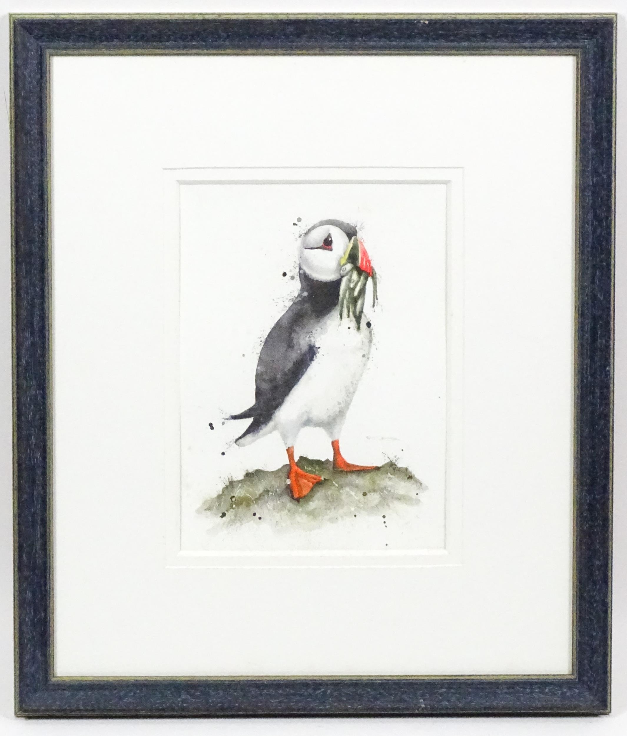 Artwork by Sam Harvey, A puffin with fish in its beak, Made of Watercolour