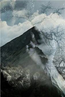 David McElwee: Finding Beauty - Art Works Downtown