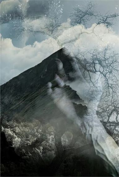 David McElwee: Finding Beauty - Art Works Downtown