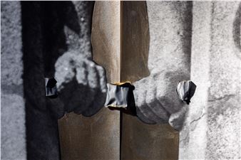 Rosângela Rennó: Living Things  [and the Unlettering by Stone]