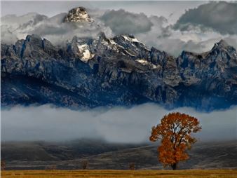 Click: Light Up the West - Phippen Museum