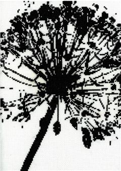 Sean Morel: Pit Sessions - Parapet Real Humans