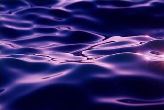 The Sea Around Us - Passerelle Centre d'Art Contemporain, Brest