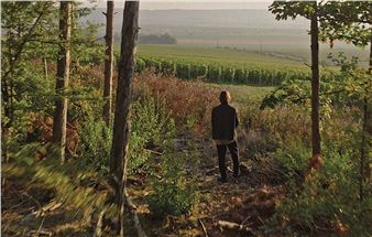 Sam Falls: Conversations with Nature — Ruinart at Frieze London 2025