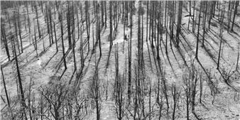 Marie Hanlon & Rhona Clarke: LAST ACT