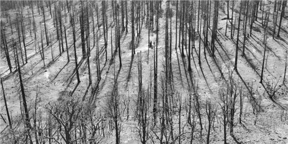 Marie Hanlon & Rhona Clarke: LAST ACT - The MAC