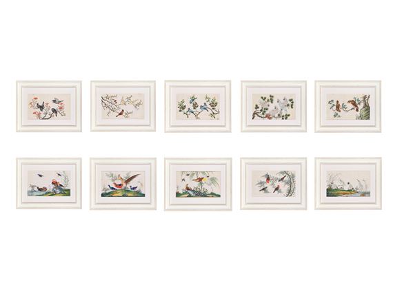 Studies of Birds - Chinese School, 19th Century