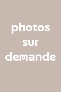 Nu sur la plage by Raoul Hausmann