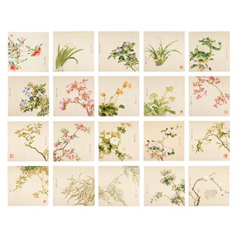 Floral Studies - Xiong Bishuang