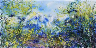 Massif de Tanneron II - Fu Ji Tsang