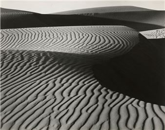 Christie's Photographs sale in New York achieves $3.6 million