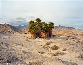 From Here to the Horizon: Photographs in Honor of Barry Lopez