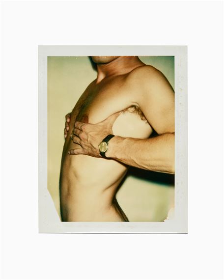 Andy Warhol: The Dialectical Third: Torso, Sex Parts, Ladies And Gentlemen, Querelle, Self Portraits And Other Polaroids - The Hole, New York (Tribeca)