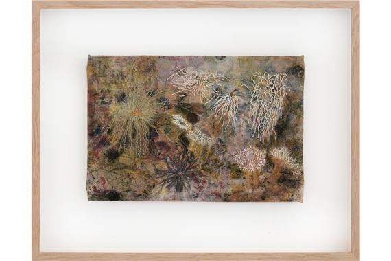 Bram Van Breda: When a bubble hits the surface - The White House Gallery 