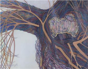 ROOTS - Shona Dougall