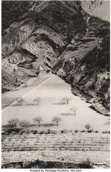 The Man Who Planted Trees (L'homme qui plantait des arbres), (5 works), 1995 - Martine Franck