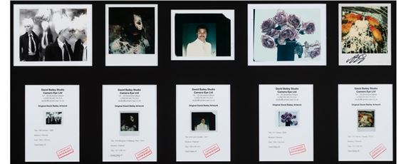 Group of 5 photographs - David Bailey
