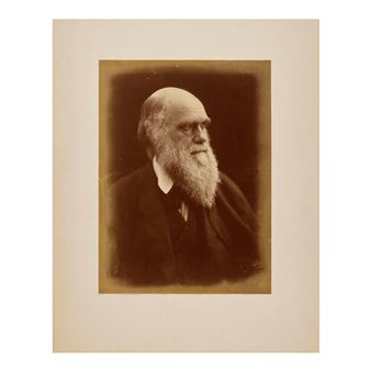Portrait photograph of Darwin at age 59, by Julia Margaret Cameron (1815-79). [1869 - Julia Margaret Cameron