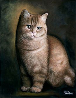 Cat - Ernie Centofanti