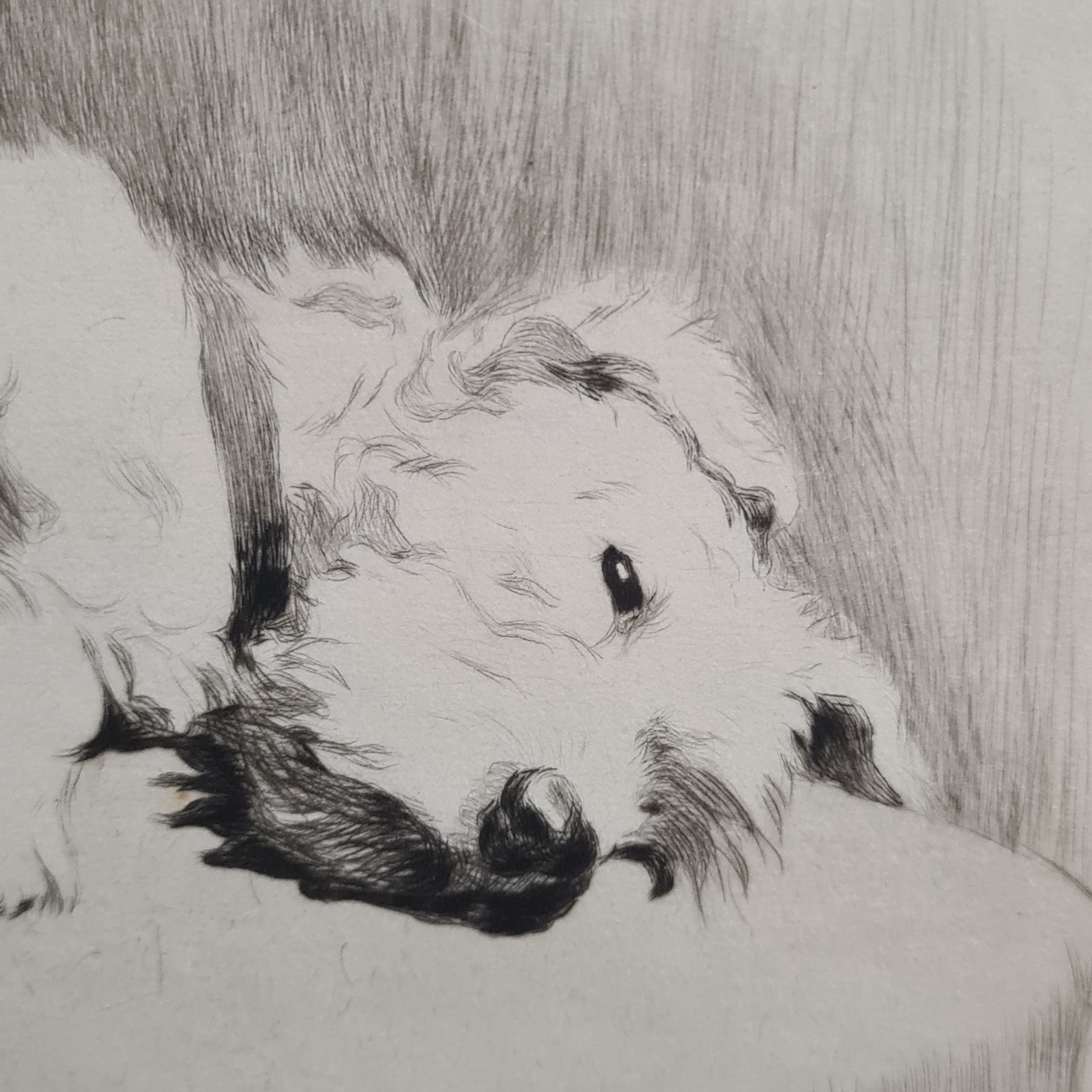 Artwork by Cecil Aldin, What About A Walkie, Made of Etching