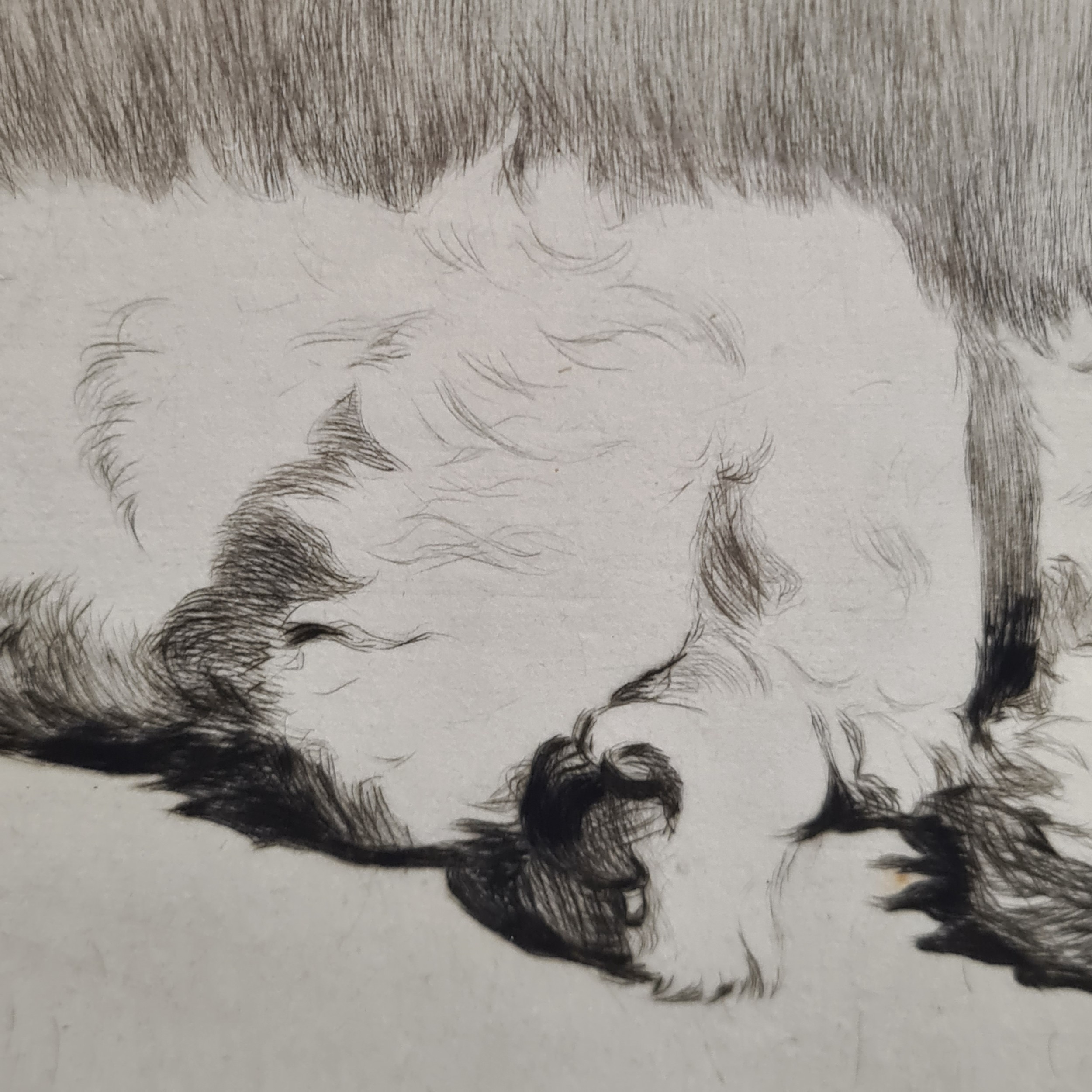 Artwork by Cecil Aldin, What About A Walkie, Made of Etching