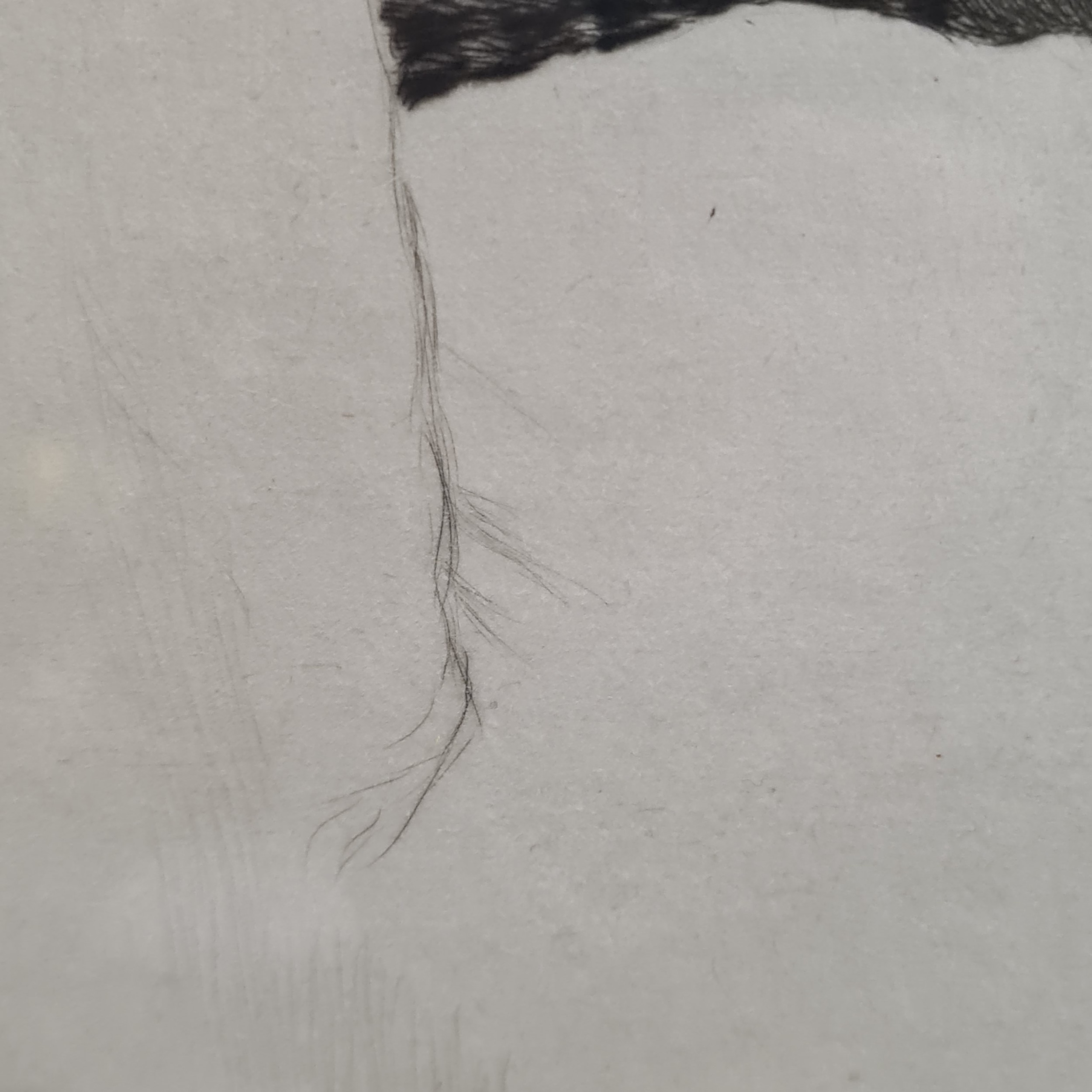 Artwork by Cecil Aldin, What About A Walkie, Made of Etching