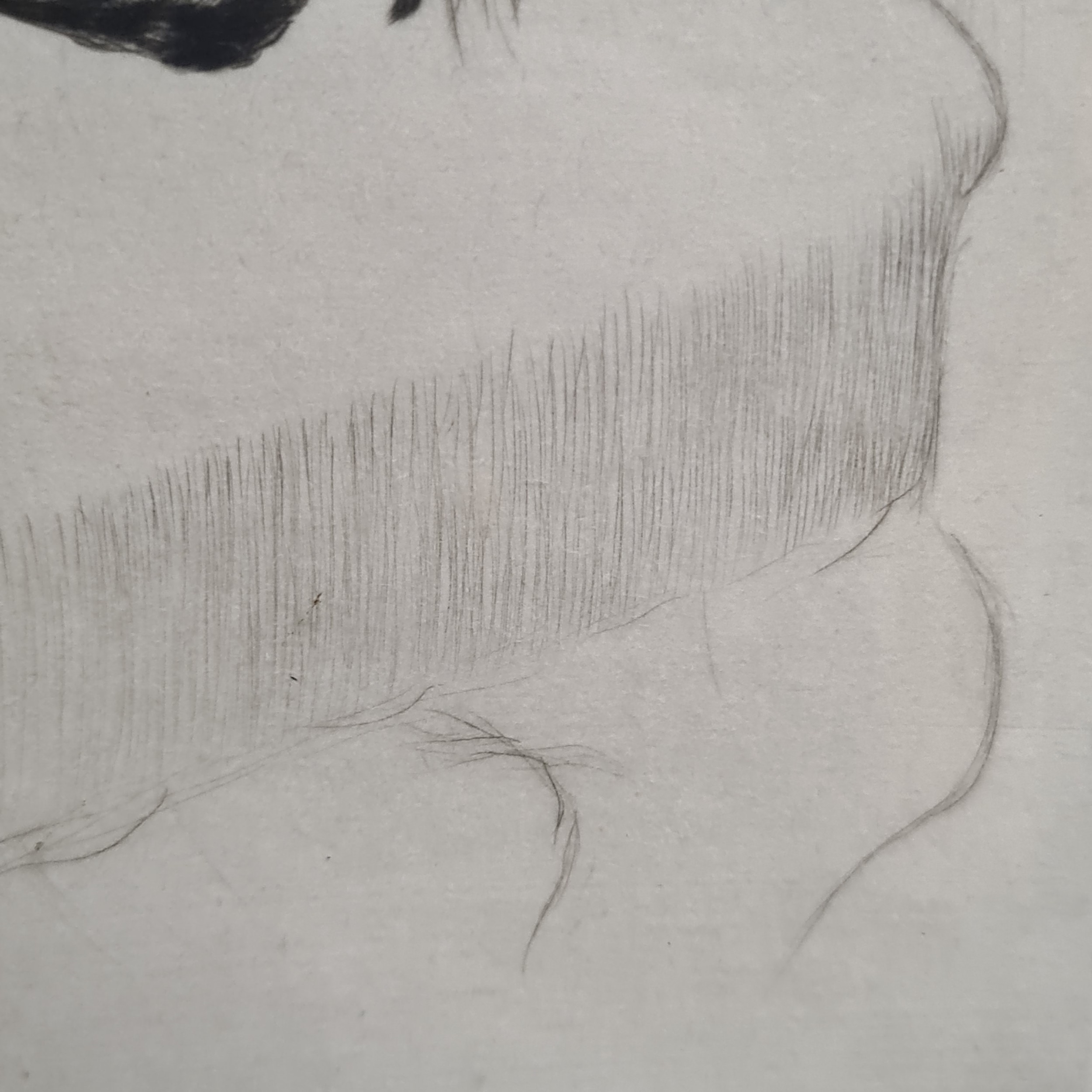 Artwork by Cecil Aldin, What About A Walkie, Made of Etching