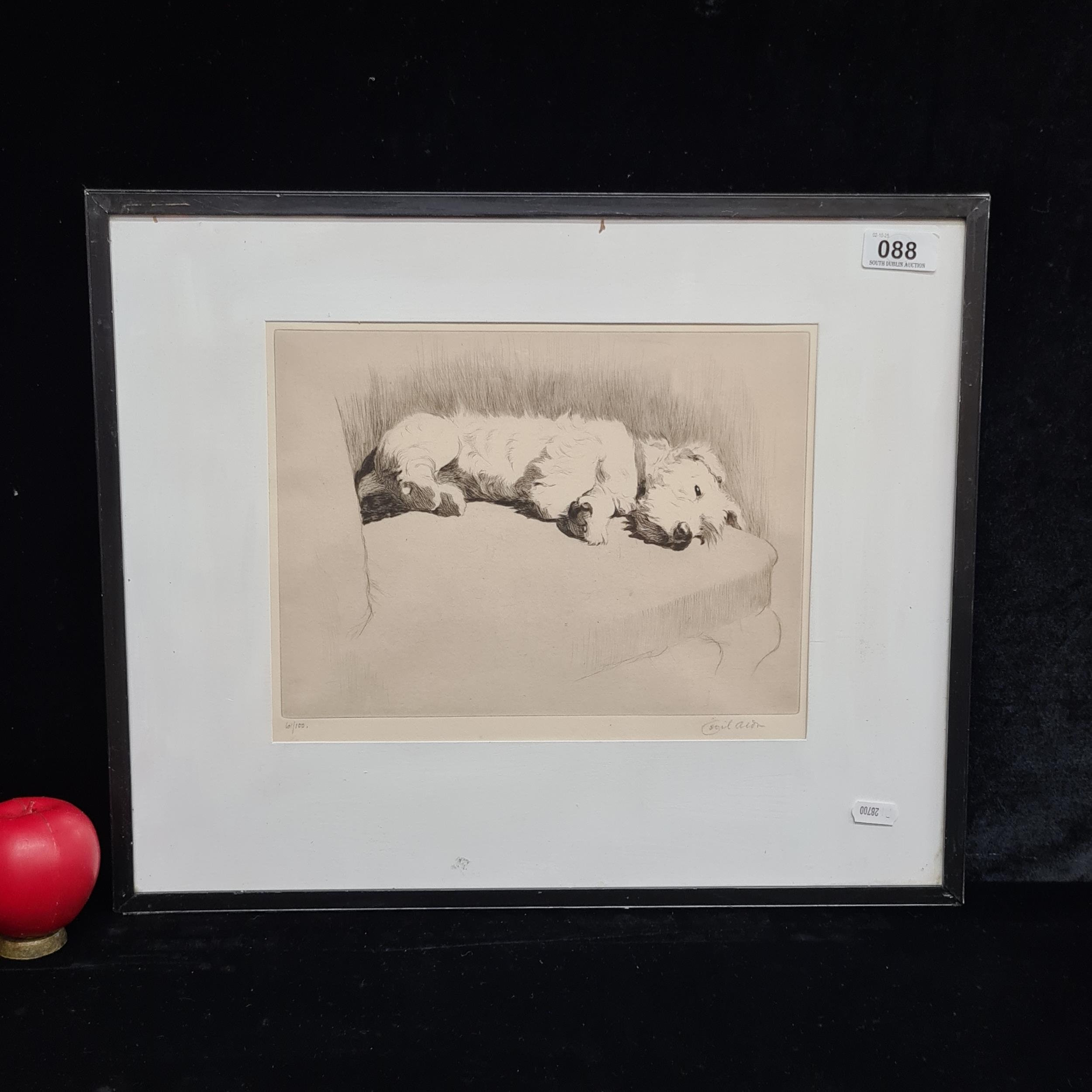 Artwork by Cecil Aldin, What About A Walkie, Made of Etching