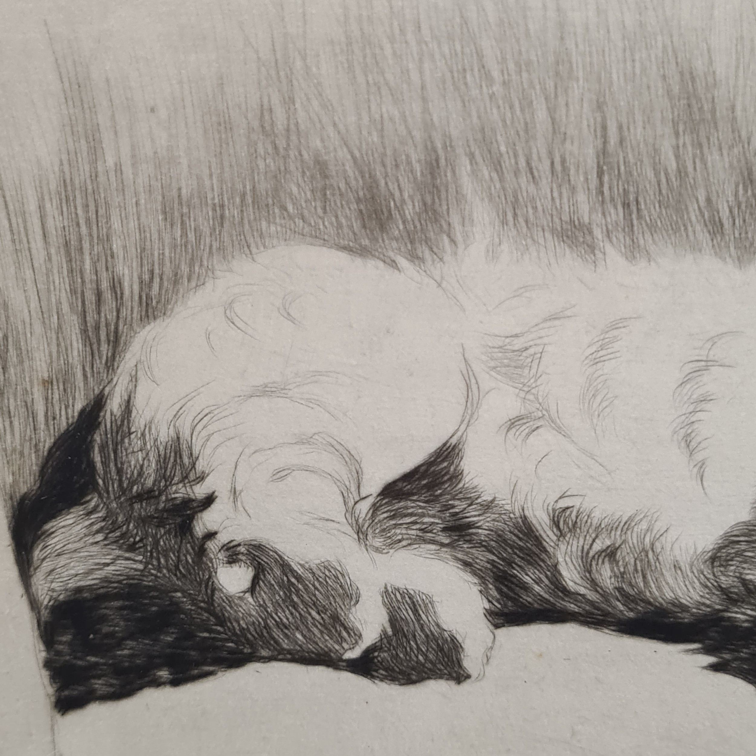 Artwork by Cecil Aldin, What About A Walkie, Made of Etching