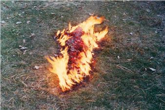 Ana Mendieta: Back to the Source - Marian Goodman Gallery, New York