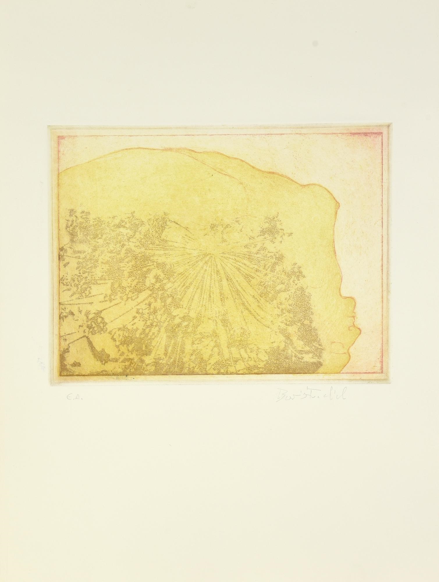 Artwork by Boris Fröhlich, PROVE PER LIBRO, Made of Acquaforti Colorate