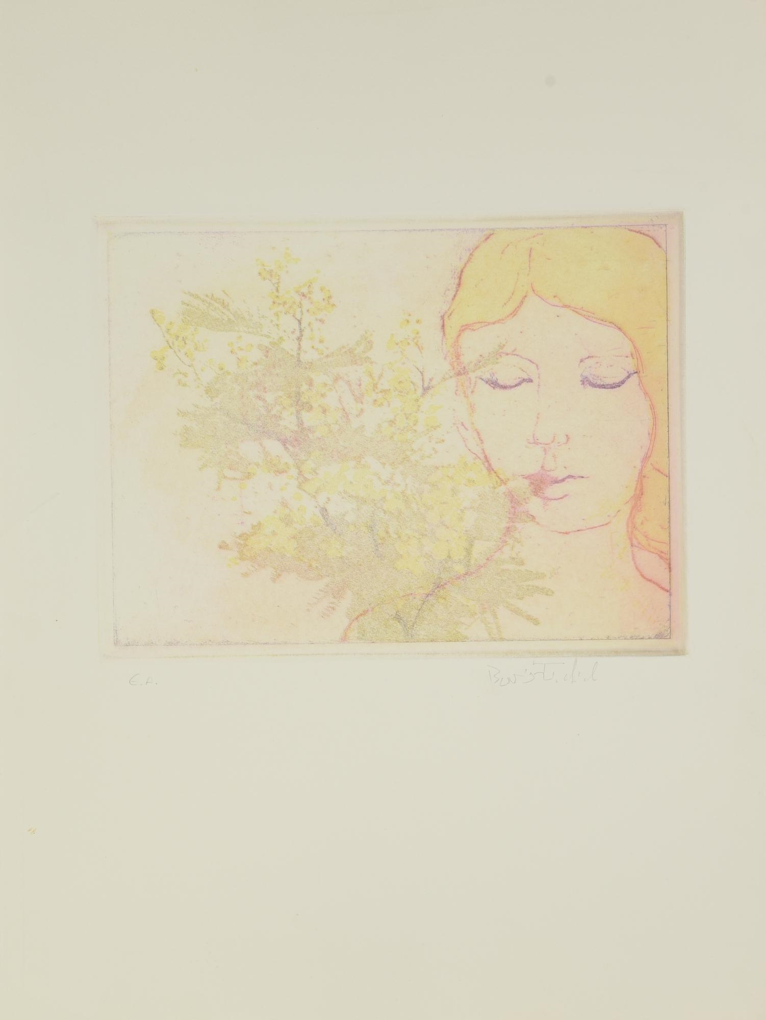 Artwork by Boris Fröhlich, PROVE PER LIBRO, Made of Acquaforti Colorate