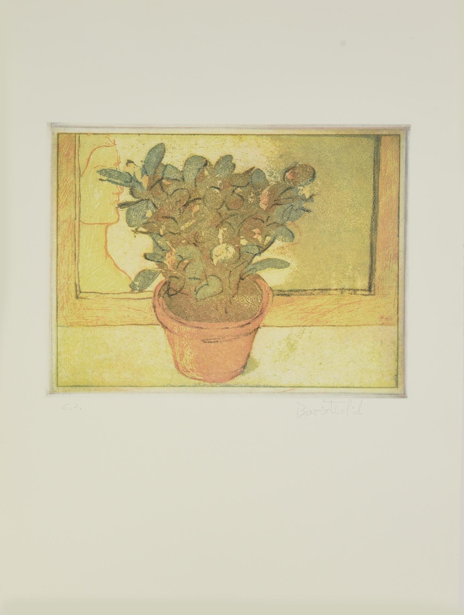 Artwork by Boris Fröhlich, PROVE PER LIBRO, Made of Acquaforti Colorate