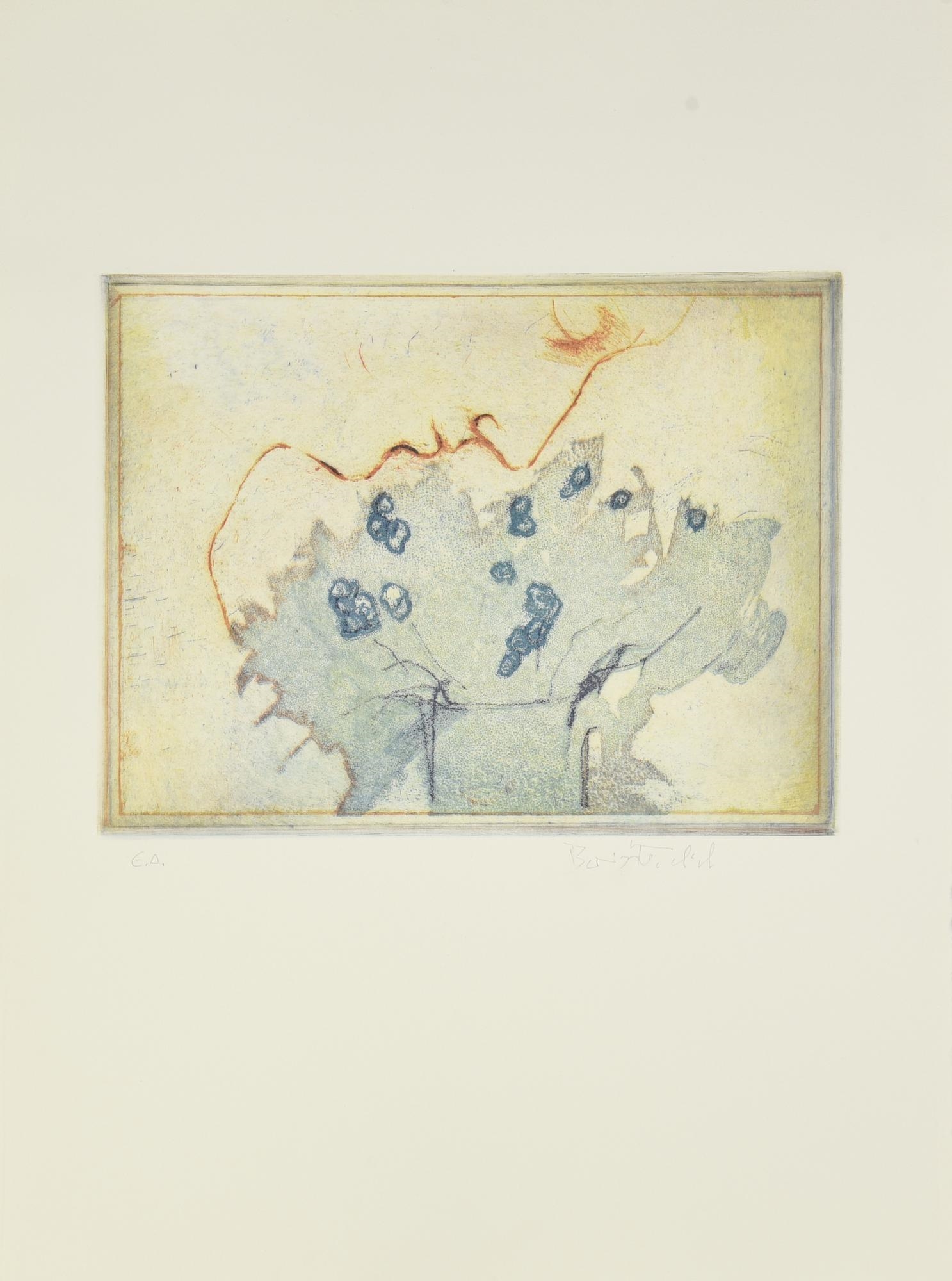 Artwork by Boris Fröhlich, PROVE PER LIBRO, Made of Acquaforti Colorate