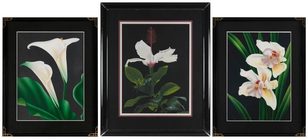 Artwork by Brian Davis, Three floral views, Made of Color Pochoirs And Screenprints On Paper