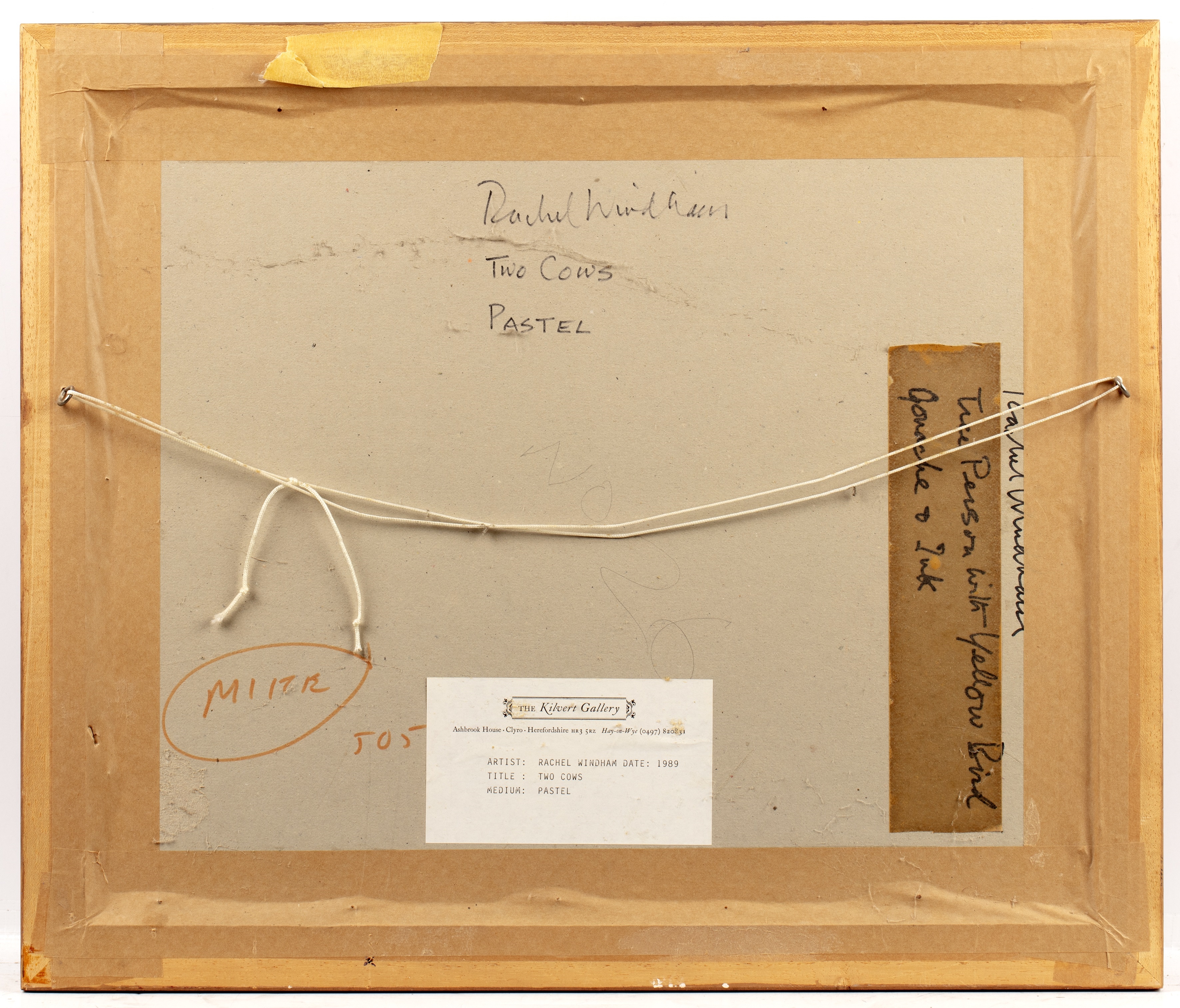 Rachel Windham | Two cows | MutualArt