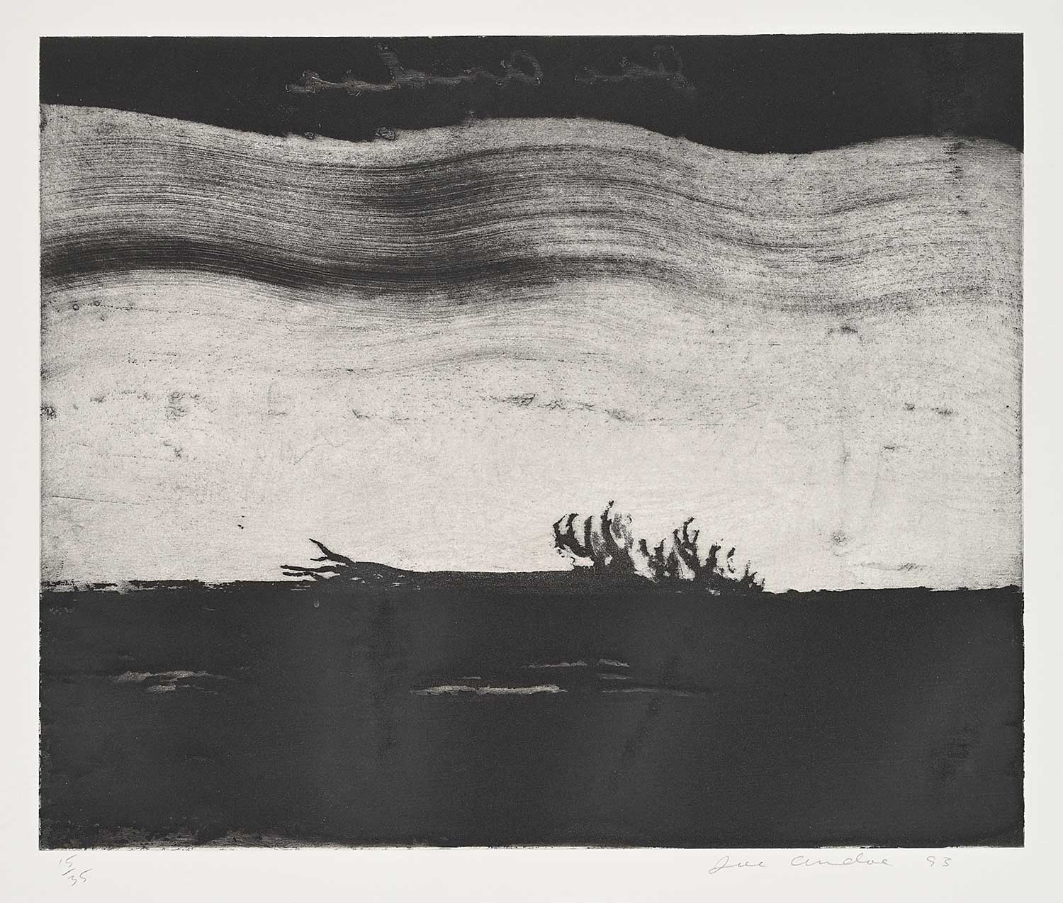 Joe Andoe | Untitled - Fallen Tree #15/35 (1993) | MutualArt