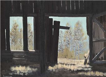 Looking Out - Peter Shostak