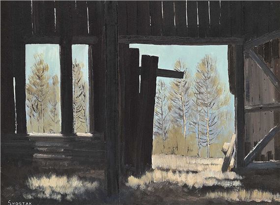 Looking Out - Peter Shostak