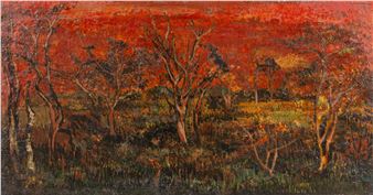 Savanna at Dawn - Floris Jespers