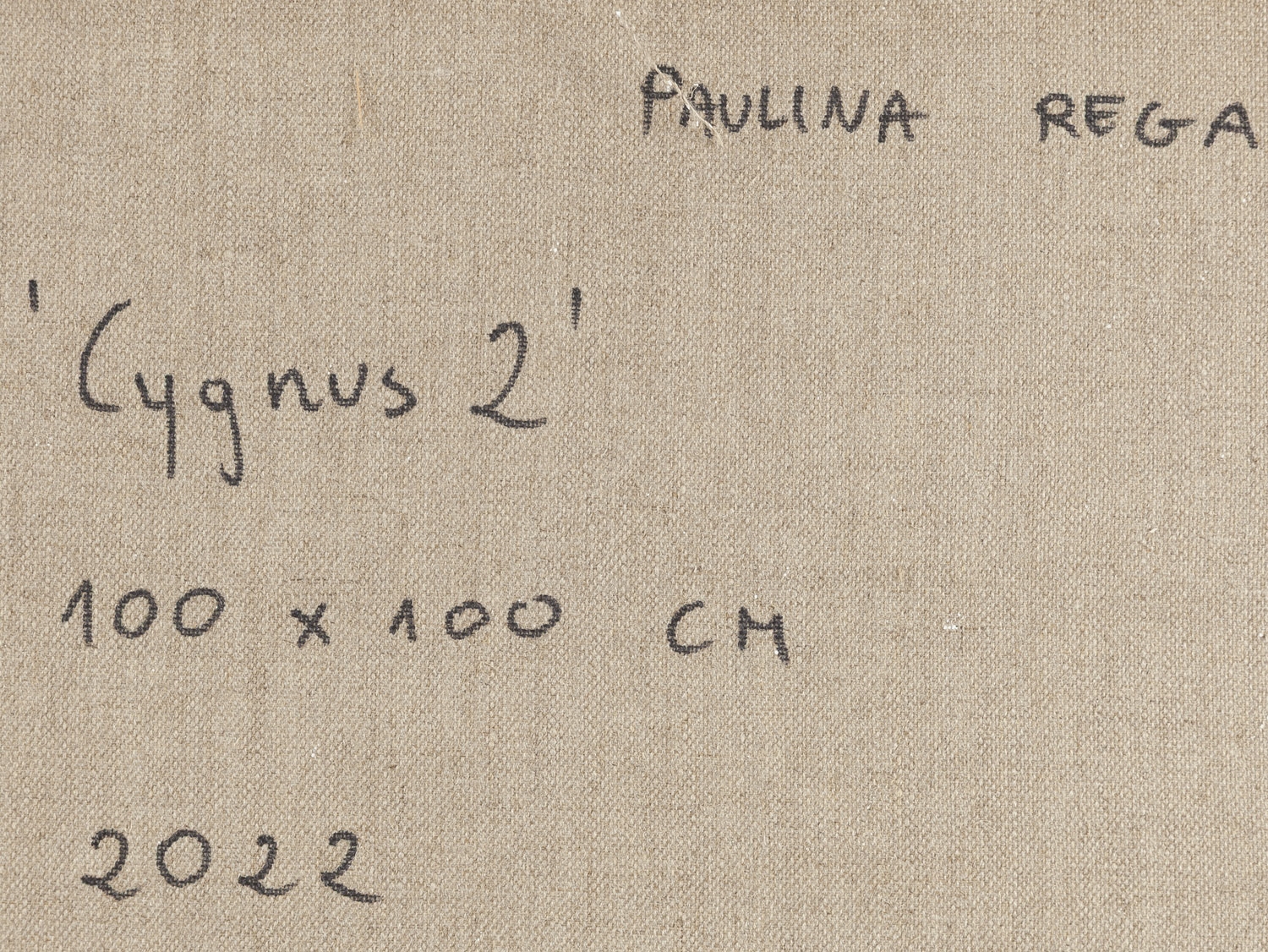 Artwork by Paulina Rega, Cygnus 2, Made of acrylic/canvas