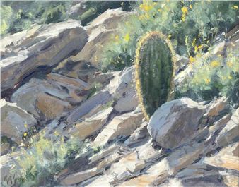Young Saguaro - Matt Sheridan Smith