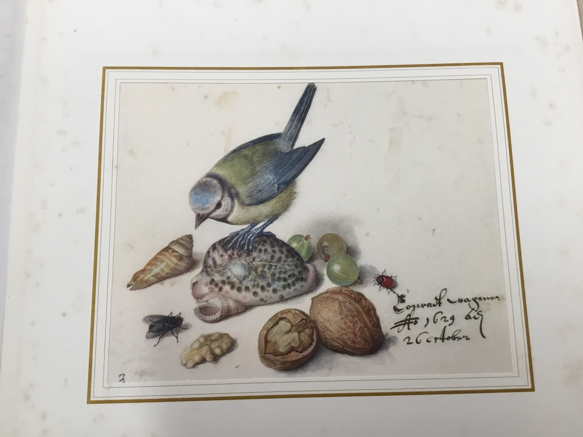 Artwork by Georg Flegel, After Georg Flegel, a presentation folio containing six mounted prints, probably 1950s