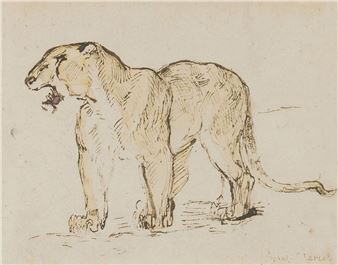 The Lioness - Edmée Saint-marcel