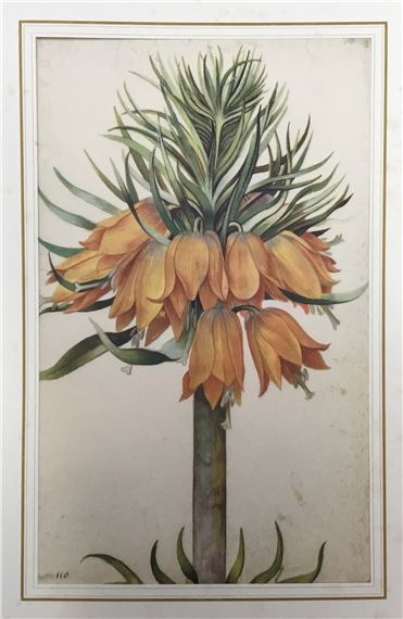 After Georg Flegel, a presentation folio containing six mounted prints, probably 1950s - Georg Flegel