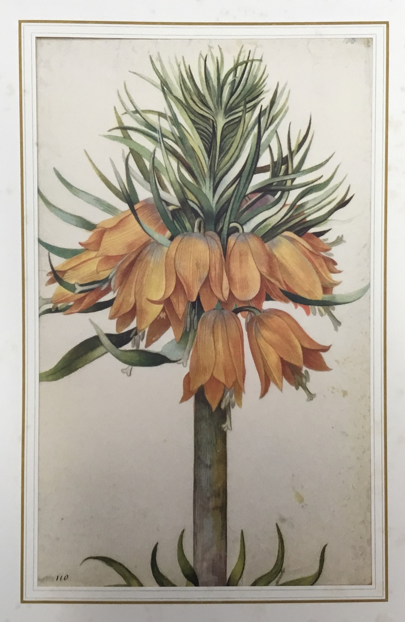 Artwork by Georg Flegel, After Georg Flegel, a presentation folio containing six mounted prints, probably 1950s