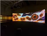 Anicka Yi’s Botanical Existentialism